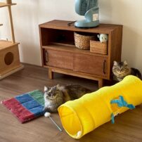 施工事例を更新しました！